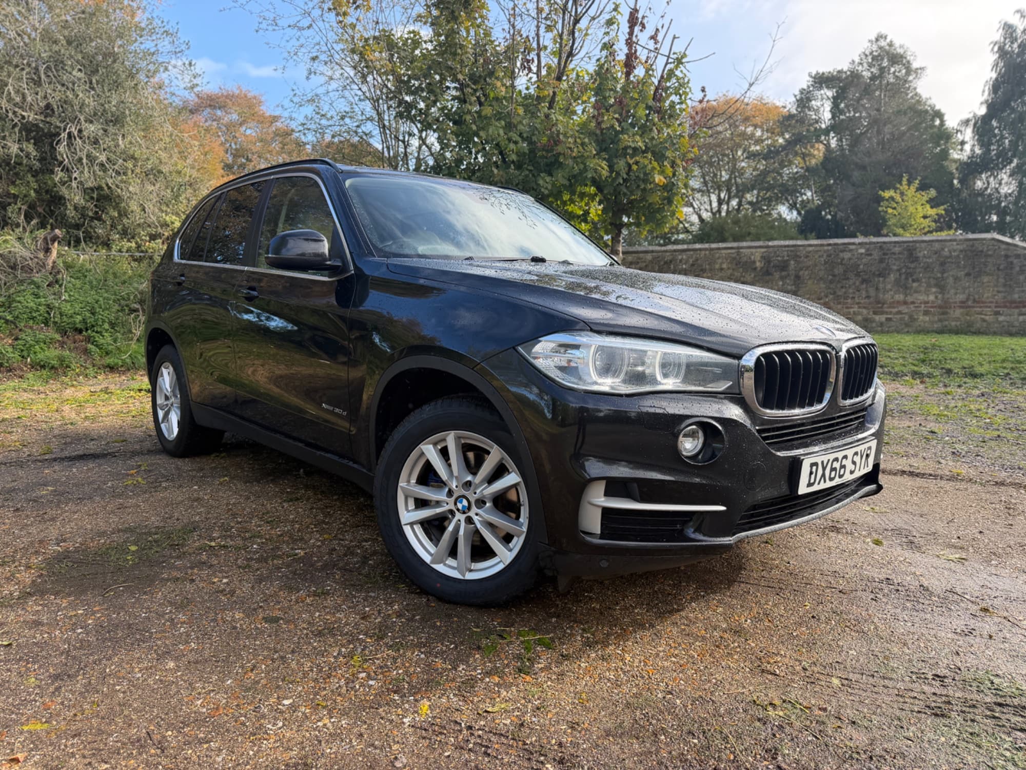 BMW X5 3.0 30d SE Auto xDrive Euro 6 (s/s) 5dr